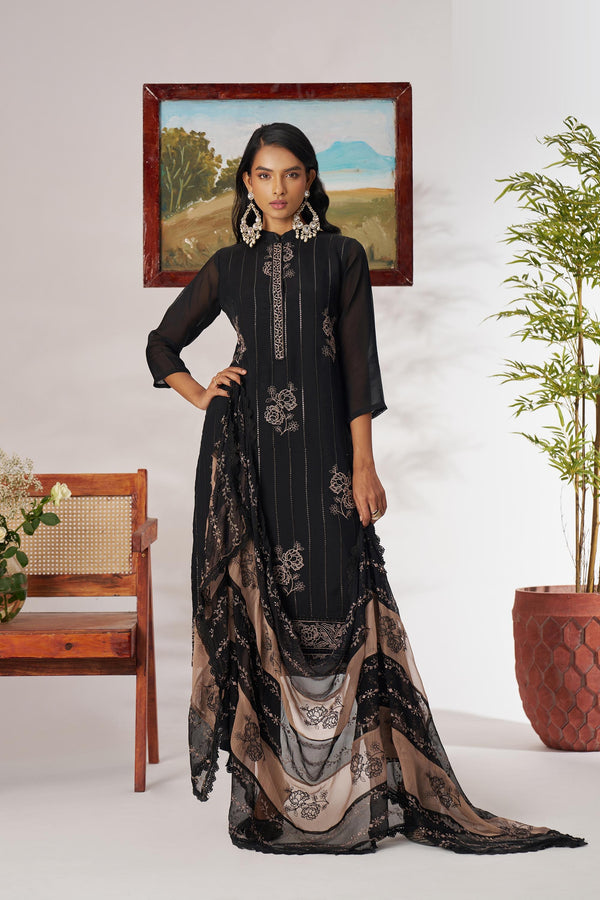 Stepnshop Elegant Organza Kameez Set with Embroidery Work