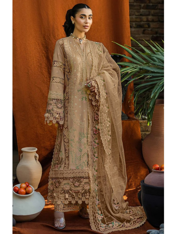 Elegant Pakistani Cotton Suit with Embroidered Organza Dupatta