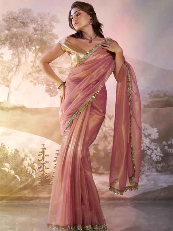 Designer Organza and Net Saree with Pure Silk Blouse