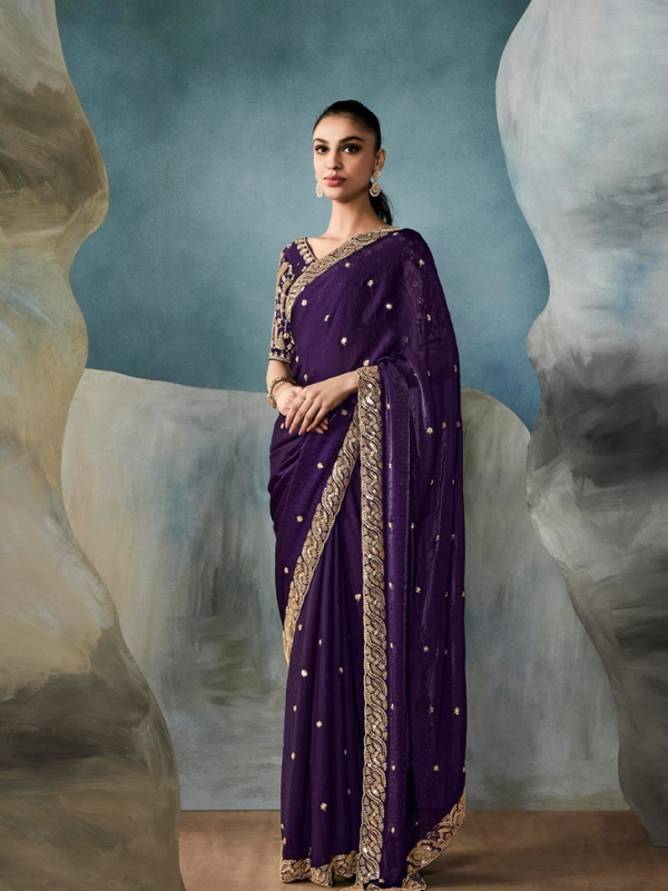 Elegant Hand-Embroidered Net Organza Saree Set