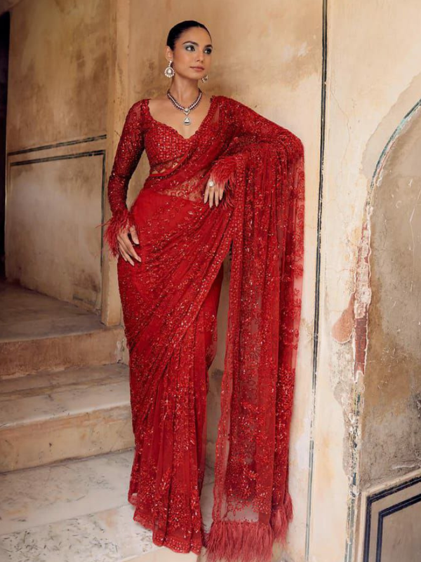 Stepnshop Butterfly Net Saree with Sequin & Embroidery Work